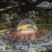 Concha Acústica do Parque da Maternidade é reinaugurada pelo governo do Acre