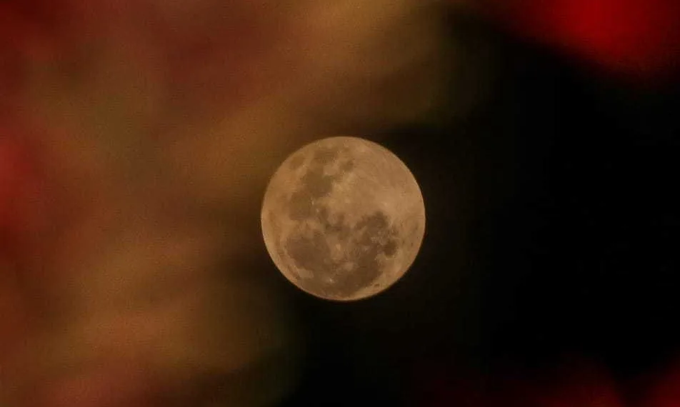 (Foto: Juan Diaz)