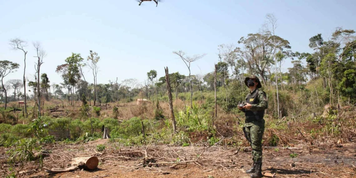 Rio Branco Acre, Brasil - Militares do Batalhão de Polícia Ambiental (BPA) que receberam curso de pilotagem de drones pela WWF fazem a pratica em campo, realizam mapeamentos de áreas desmatadas com drones.
Os drones foram doando pela WWF-Brasil para o fortalecimento no combate contra os crimes ambientais