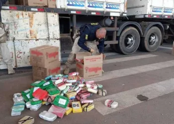 PRF apreende quase meia tonelada de drogas em caixas de biscoitos Miragina na BR-070; caminhão não era da empresa