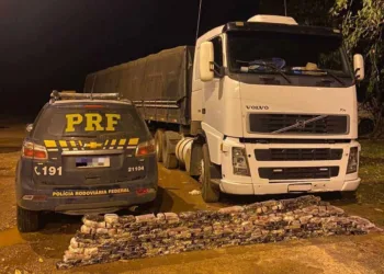 PRF apreende mais de 170 quilos de cocaína sendo transportada em cabine de caminhão