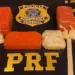 Mochila com quase 6kg de cocaína é apreendida em ônibus que ia de Rio Branco a Porto Velho