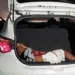 Mateus Felipe Silva está internado no Pronto-Socorro de Rio Branco (Foto: Cedida)