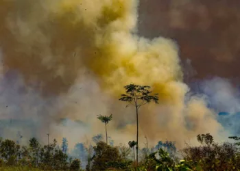 Período ede estiagem e queimadas em Rio Branco no Acre (Foto: Sérgio Vale/Amazônia Real)