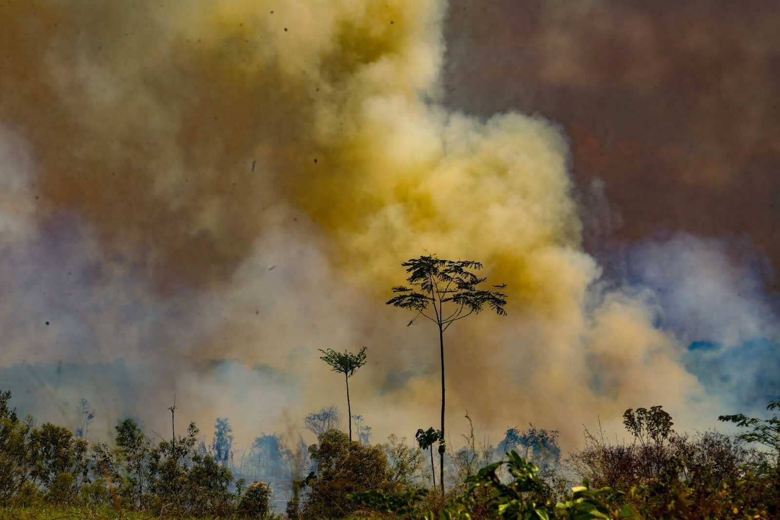 Período ede estiagem e queimadas em Rio Branco no Acre (Foto: Sérgio Vale/Amazônia Real)