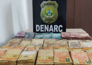 Segundo a Polícia Civil, a operação foi resultado de uma investigação que durou um ano (Foto: Ascom/PC)
