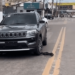 Vídeo mostra momento em que motorista atropela cão em Rio Branco; ONG denuncia caso por maus-tratos
