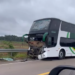 Bois invadem pista e motorista de ônibus fica ferido na BR-364