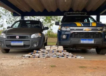 PRF apreende 50kg de cocaína em caminhão-cegonha na BR-364