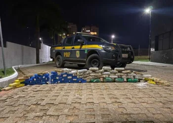Ao todo, foram encontrados 59,3kg de drogas (Foto: Ascom/PRF)