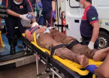 Derrubada: homem fica gravemente ferido após ser atingido por tronco de árvore