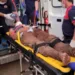 Derrubada: homem fica gravemente ferido após ser atingido por tronco de árvore