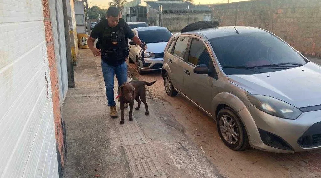 O 'Cãolicial' Duke em ação
