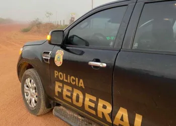 Policia Federal em combate ao desmatamento ilegal.