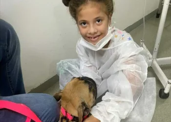 Cães terapia auxiliam no tratamento de crianças internadas no Hospital da Criança em Rio Branco