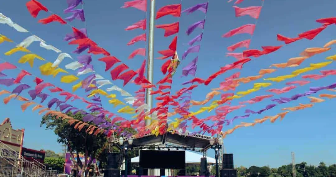 (Foto: Crédito: Nilmara Almeida/FEM)