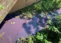 MPAC cobra providências de órgãos ambientais sobre possível contaminação do rio Acre, após incêndio em loja agropecuária