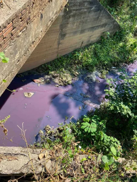 MPAC cobra providências de órgãos ambientais sobre possível contaminação do rio Acre, após incêndio em loja agropecuária 3 MPAC cobra providências de órgãos ambientais sobre possível contaminação do rio Acre, após incêndio em loja agropecuária