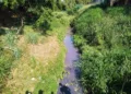 MPAC cobra providências de órgãos ambientais sobre possível contaminação do rio Acre, após incêndio em loja agropecuária