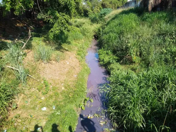 MPAC cobra providências de órgãos ambientais sobre possível contaminação do rio Acre, após incêndio em loja agropecuária 4 MPAC cobra providências de órgãos ambientais sobre possível contaminação do rio Acre, após incêndio em loja agropecuária