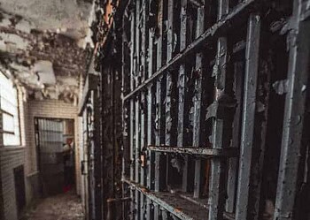 Foto: Cameron Casey/Pexels