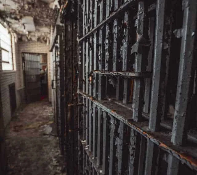 Foto: Cameron Casey/Pexels