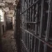 Foto: Cameron Casey/Pexels
