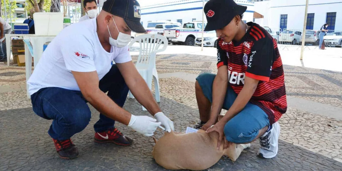 (Foto: Dell Pinheiro)