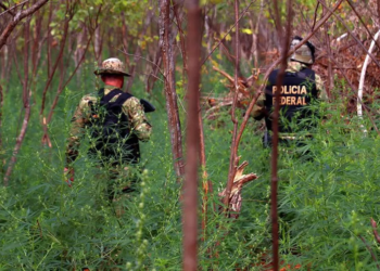 PF prende líder de organização criminosa que comandava desmatamento em florestas protegidas do Acre