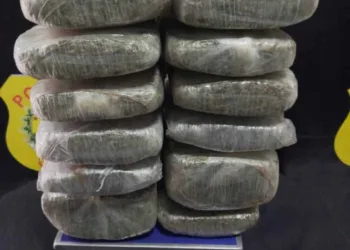 Ação integrada das forças de segurança apreende mais 16 kg de entorpecente em Marechal Thaumaturgo
