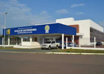 Ieptec abre vagas para profissionais das áreas de Nutrição e Línguas