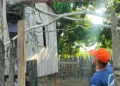Árvore cai durante vendaval e parte casa ao meio no bairro 6 de agosto