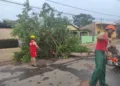 Bombeiros e Defesa Civil atenderam quase 40 ocorrências provocadas pela ventania na capital