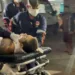Jovem leva três tiros na frente de casa e dá entrada no PS em estado gravíssimo