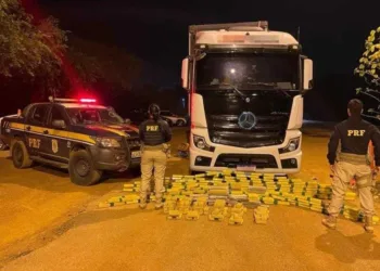PRF apreende mais de 200 quilos de maconha em caminhão na BR-364