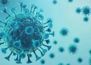 Prêmio Bacurau de Direitos Humanos é adiado após membros da comissão testarem positivo para covid