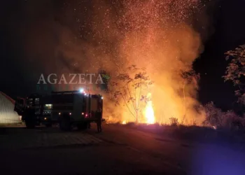 Corpo de Bombeiros contém incêndio em região de floresta próxima ao Into