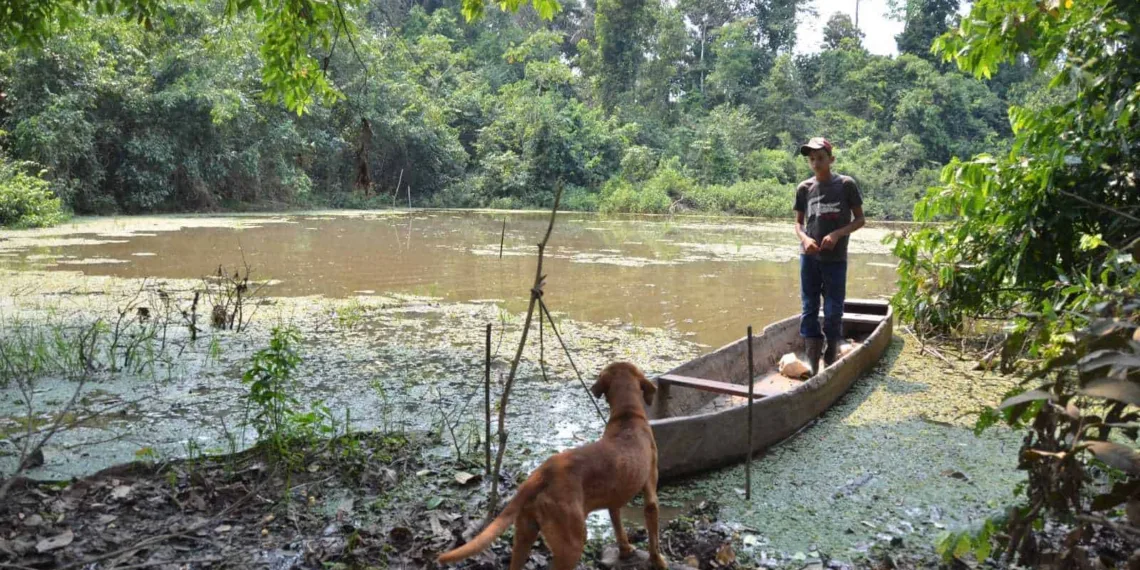 Famílias que moram próximo ao Lago da Corredeira, no Moreno Maia, pedem limpeza e conservação do local