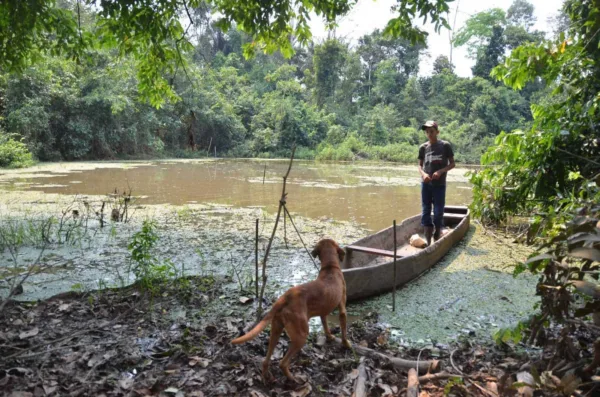 Famílias que moram próximo ao Lago da Corredeira, no Moreno Maia, pedem limpeza e conservação do local