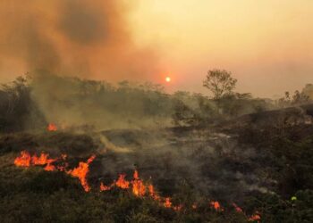 novembro registra recorde de queimadas no Acre