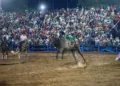 Abimael Lima, de Senador Guiomard, é o grande campeão do rodeio na Expoacre 2022