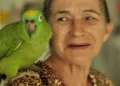 Documentário 'Seringueiras' retrata histórias de luta de mulheres na Amazônia