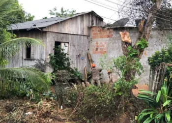 Bombeiros e Defesa Civil atenderam quase 40 ocorrências provocadas pela ventania na capital