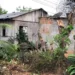 Bombeiros e Defesa Civil atenderam quase 40 ocorrências provocadas pela ventania na capital