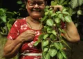 Documentário 'Seringueiras' retrata histórias de luta de mulheres na Amazônia