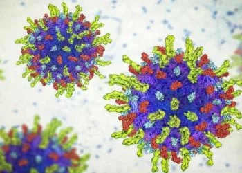 O vírus que destrói câncer e pode revolucionar tratamento de tumores avançados, segundo cientistas