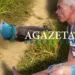 Produtor rural tem cabeça esmagada e amigo é o principal suspeito do crime