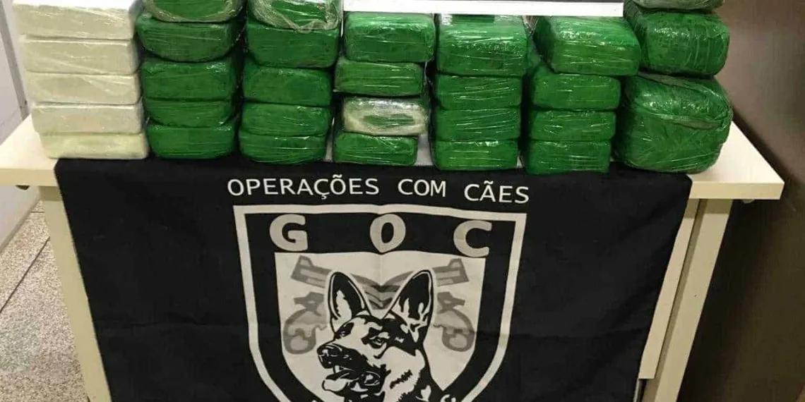 Polícia Militar apreende quase 30 quilos de entorpecentes esondidos em veículo na BR-317