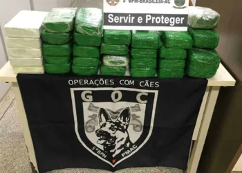 Polícia Militar apreende quase 30 quilos de entorpecentes esondidos em veículo na BR-317