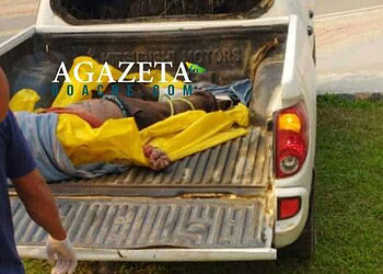 Homem morre durante 'derrubada', no interior do Acre; é o quarto acidente fatal em menos de uma semana